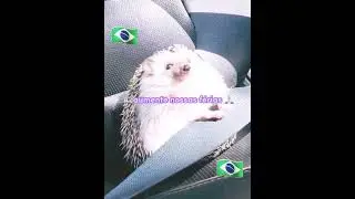 28 de agosto de 2022