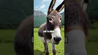 МИКРО | CS:GO 
