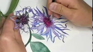 Making Watercolour Botanical Postcards