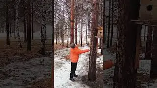 Март в Башкирии. Белки кормятся с рук!