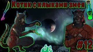 Requiem for a Kotik. Подходит как-то каджит к неживой тян...