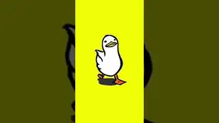 DUCK DANCIN