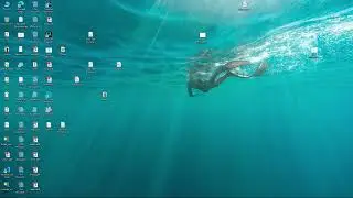 How to Run and Execute downloaded C# Projects source code and Database file (XAMPP + Source Code )
