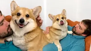 НЕ ВИДЕЛИСЬ НЕДЕЛЮ 🤪что за шрам у Сэдди? 🤨