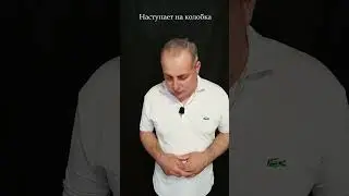 Анекдот про медведя и колобка 