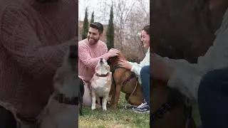 Better Futures The Dog Guide x The Down Market