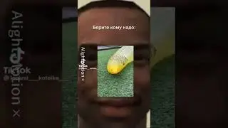 мемы