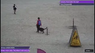 Faro von den Trombacher Wolfen Кубок России 2021 IGP-1 B-90