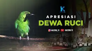 APRESIASI - BURUNG PEMIKAT HATI