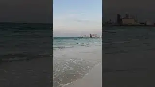 море 🌊 🏖 🐬!