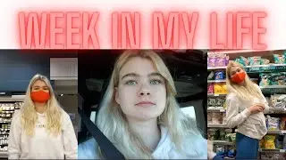 week in my life (trader joe’s & more)