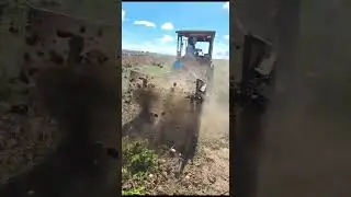 11 ноября 2023 г.