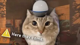 Left 4 Dead Cat 9