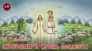 Любомир (День Свадеб)