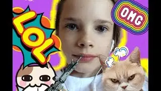 Прикол какие же коты наивные и забавные #люблюкотиков