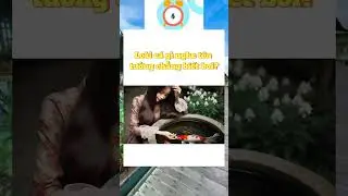 Đố vui #dovui #braintest2 #funnyimages #shortvideo #hinata #braintest2solutions #funnymemes