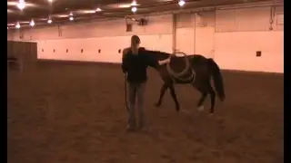 Zee Zee Stop - Student trainer: Gina