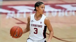 Anna Wilson Stanford Highlights 🌲