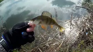 Матросик)) #shorts #рыбалка #рек #тренды #втренде #топ #rybalkaestrybalka #врек #fishing #мормышинг