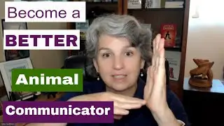 From Curious to Confident: Become a Better Animal Communicator