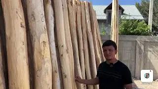 ARZON TAXTA NARXLARI SHOSHILING ENDI 2024 93-644-70-08   90-303-80-08