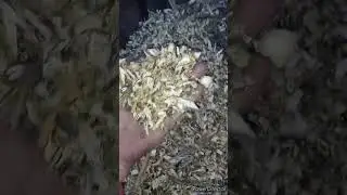 зробив собі щепоріз з вала від фуганка на два ножі