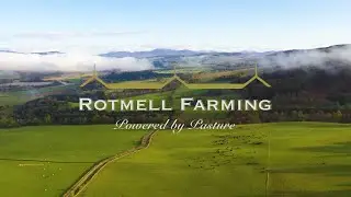 Rotmell Farming - Pure Scottish Pasture Fed Beef