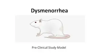 Oxytocin-induced Dysmenorrhea Animal Model: Step-by-Step Protocol Guide