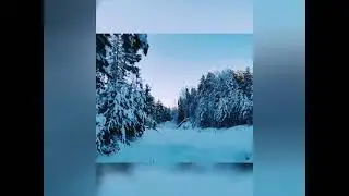 Новый 2023 год / С наступившим!