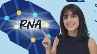 Desvendando os Tipos de Redes Neurais Artificiais: Guia Completo para Iniciantes