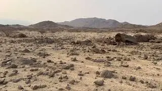 سوق حباشة في التهامة