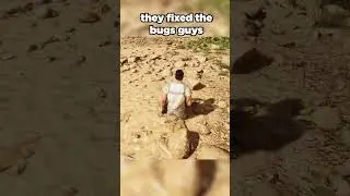 They Fixed the Bugs Guys