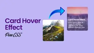Animated Card Hover Effect using Pure CSS - Codingscape