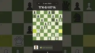 #шахматы
