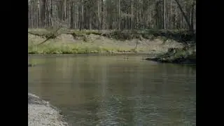 Охота и рыбалка в Эвенкии!!! Лосиха с теленком бросилась на рыбаков!!!