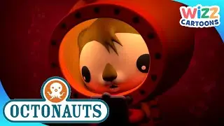 ‪@Octonauts‬