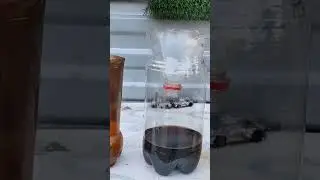 Ловушка для ос за пять минут.