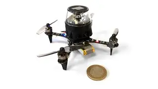 Visual Route-following for Tiny Autonomous Robots - Science Robotics