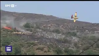 Grško letalo strmoglavi med gašenjem požara