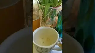 Air Detoks Limau Kasturi dan madu