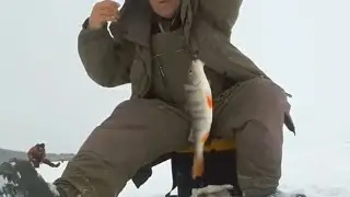 Клюёт как из пулемёта. Рыбалка на мормышку. fishing