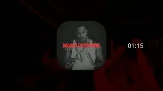 BUSTA RHYMES TYPE BEAT - BADDIES EVERYWHERE