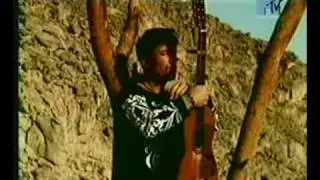 Дидюля - Арабика