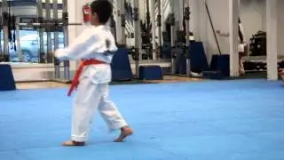 Devin T. testing for green belt....(TAEKWONDO)
