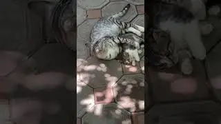 забота друг о дружке 