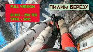 Удаление берёзы | FULL version | ECHO 2511 + STIHL 261c
