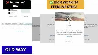 How to add a Twitter X Feed to your Website 2026