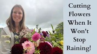 How To Cut Flowers In The Rain