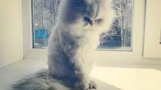Нарезка фото