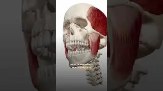 Лифтинг - эффект для лица с помощью одной техники